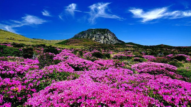 Kenapa Gunung Tertinggi di Korea Selatan Rusak karena Mie Instan?