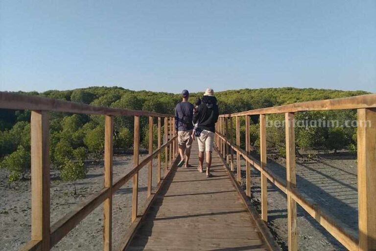 Tempat Wisata Mangrove Jatipapak Alas Purwo Banyuwangi: Tempat untuk Melepaskan Penat dan Bersantai