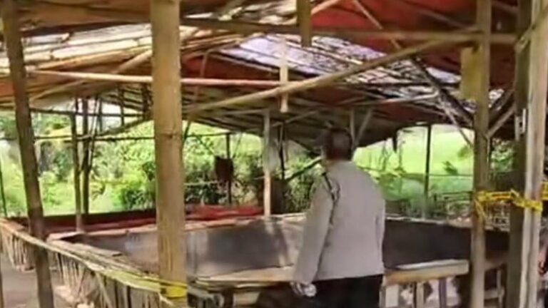 Razia Polisi: Arena Sabung Ayam di Pasar Kemis Kabupaten Tangerang
